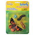 Insect Lore Butterfly Life Cycle Stages Figure Set 4760